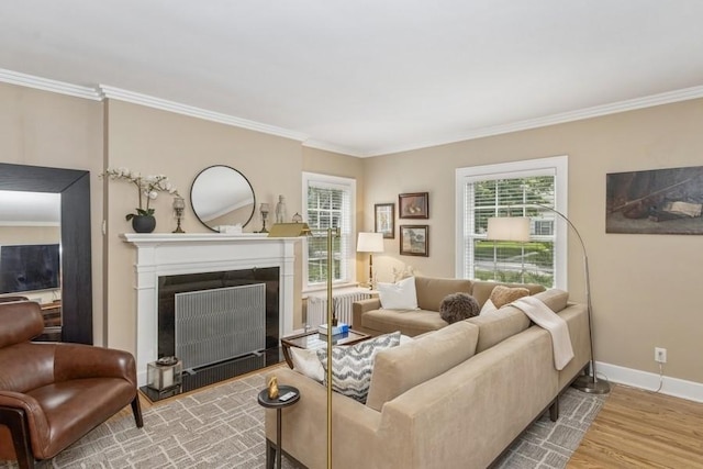 318 Ferson Ave, Iowa City, IA 52246 - living room featuring radiator, crown molding, wood finished floors, healthy amount of natural light, and a fireplace with flush hearth