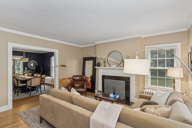 318 Ferson Ave, Iowa City, IA 52246 - living area featuring healthy amount of natural light, ornamental molding, a fireplace with raised hearth, and wood finished floors