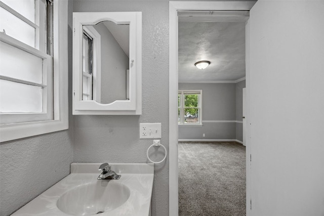 2539 Vernon Ct SE, Cedar Rapids, IA 52403 - bathroom with vanity, a textured wall, and crown molding