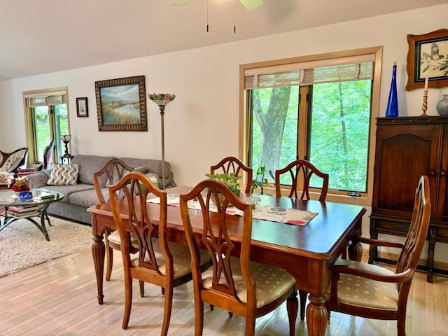 24 Samuel Dr, Iowa City, IA 52245 - photo 9