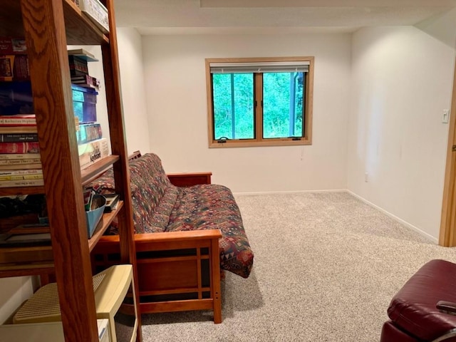 24 Samuel Dr, Iowa City, IA 52245 - photo 43