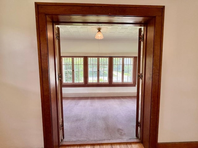 423 S 7th Ave, Iowa City, IA 52245 - corridor featuring crown molding and carpet