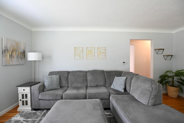 1135 Maplecrest Dr, Marion, IA 52302 - living room with wood finished floors and baseboards