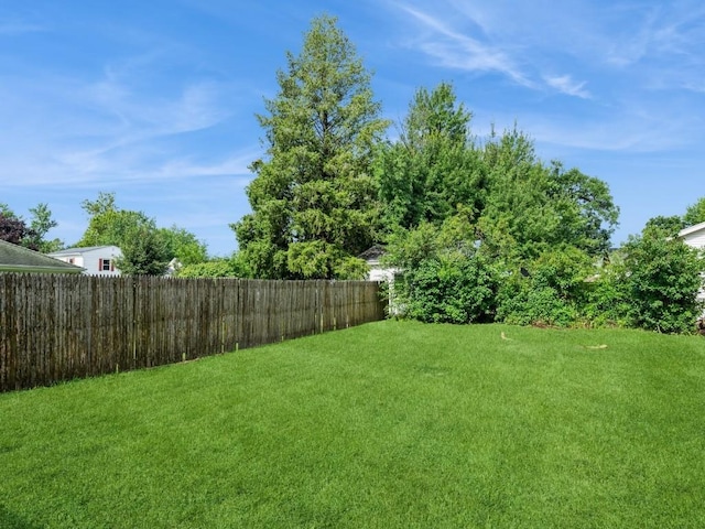 2408 J St SW, Cedar Rapids, IA 52404 - view of yard