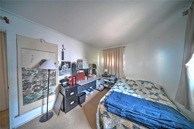 1011 Regent St NE, Cedar Rapids, IA 52402 - view of carpeted bedroom