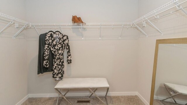2852 Mary Green Rd, Hiawatha, IA 52233 - photo 12