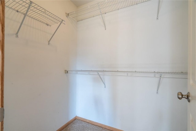 6045 Ridgewood Meadows Ln NE, Cedar Rapids, IA 52411 - view of walk in closet