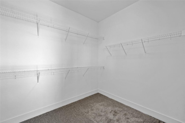 219 Mccarran Ave NE, Cedar Rapids, IA 52402 - photo 11