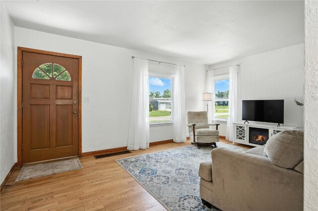 1039 27th St NE, Cedar Rapids, IA 52214 - entryway with light wood-style flooring and a glass covered fireplace