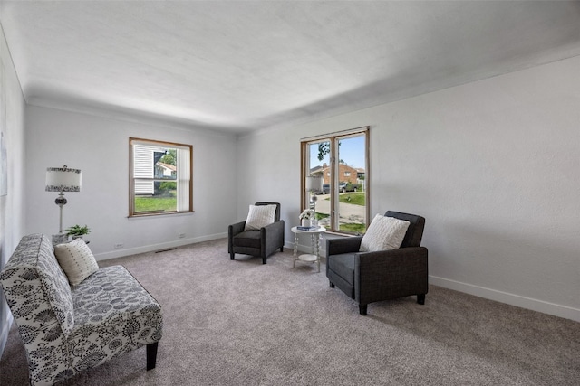 2226 Chandler SW, Cedar Rapids, IA 52404 - living area with plenty of natural light and carpet floors