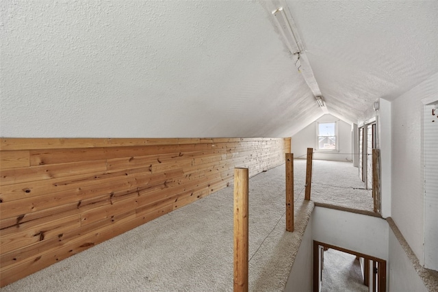 2226 Chandler SW, Cedar Rapids, IA 52404 - bonus room featuring carpet flooring, a textured ceiling, lofted ceiling, and wooden walls