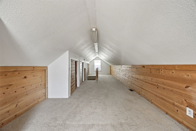 2226 Chandler SW, Cedar Rapids, IA 52404 - bonus room with wood walls, carpet floors, vaulted ceiling, and a textured ceiling