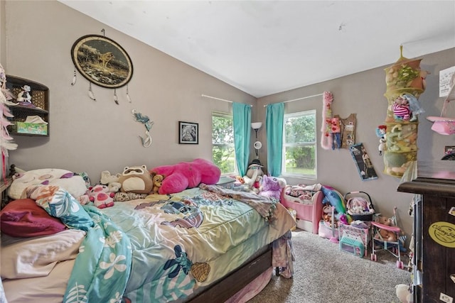 3135 115th St, Riverside, IA 52327 - photo 10