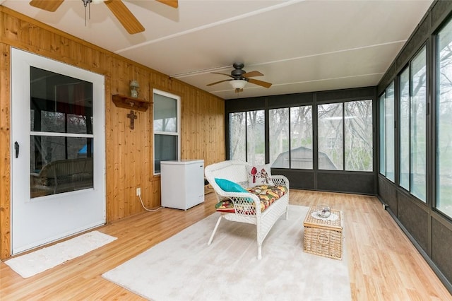 1231 Holmans Rd, Mount Vernon, IA 52314 - photo 23