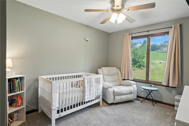 1704 Pikes Peak Ct NE, Cedar Rapids, IA 52402 - photo 13