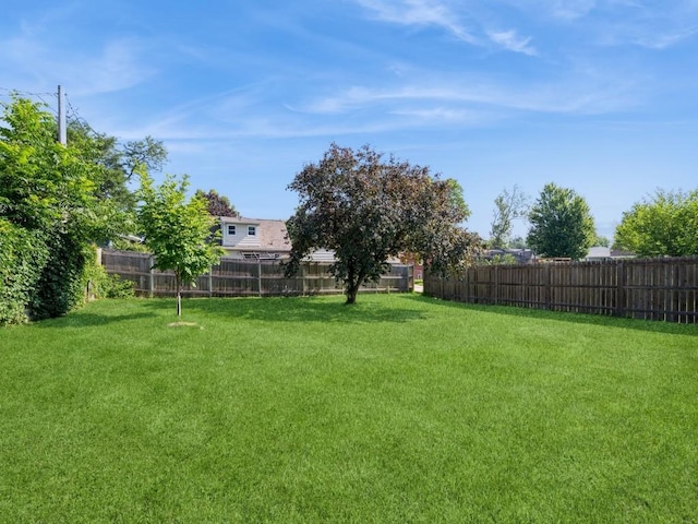 2100 10th Ave, Marion, IA 52302 - photo 28