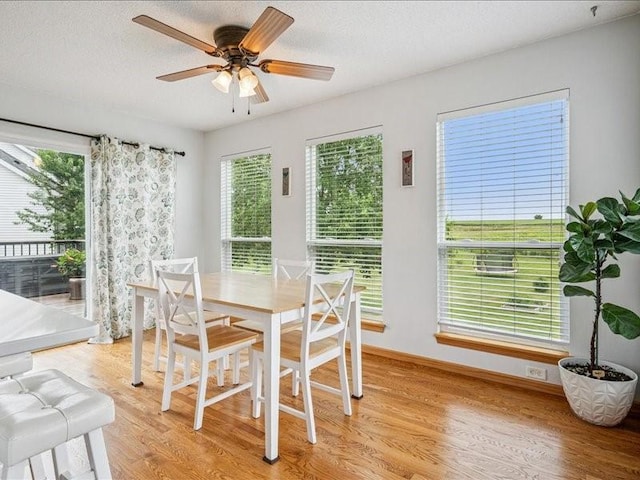 202 Rockhurst Dr SW, Cedar Rapids, IA 52404 - photo 10