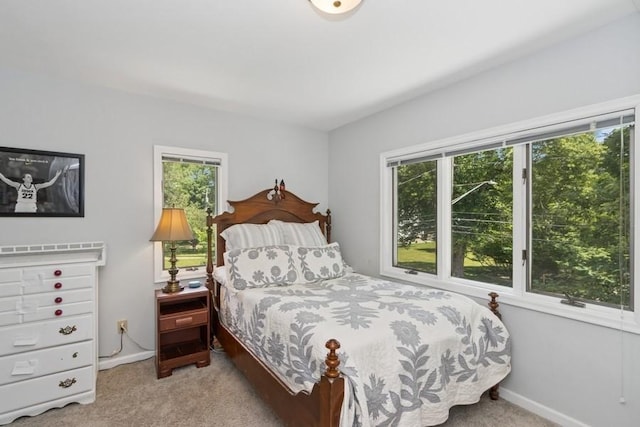 319 Hutchinson Ave, Iowa City, IA 52246 - photo 18