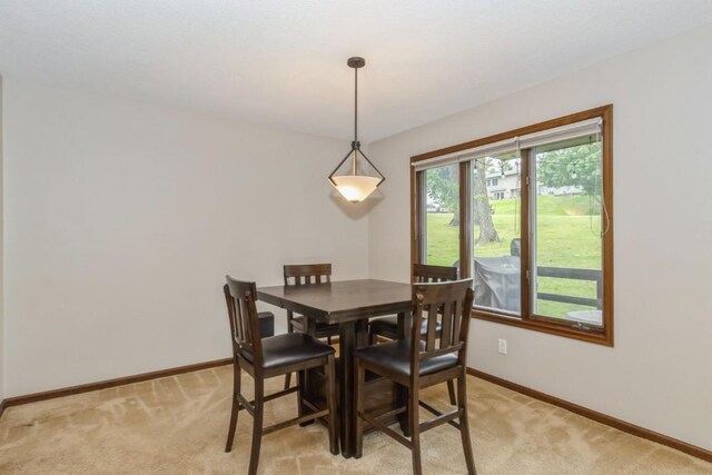 1714 Pikes Peak Ct NE, Cedar Rapids, IA 52402 - photo 6