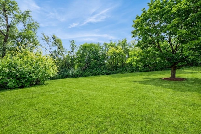 815 Edward Ct SE Unit 140, Cedar Rapids, IA 52403 - photo 25