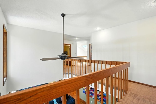 725 E Post Ct SE, Cedar Rapids, IA 52403 - photo 24