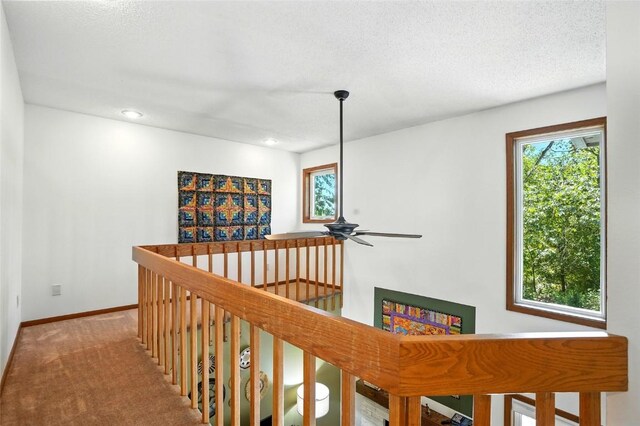 725 E Post Ct SE, Cedar Rapids, IA 52403 - photo 25