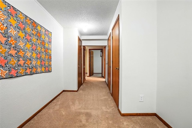 725 E Post Ct SE, Cedar Rapids, IA 52403 - photo 26
