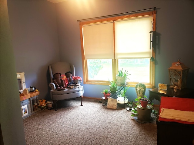 43 Prairie Dr, Walker, IA 52352 - photo 20