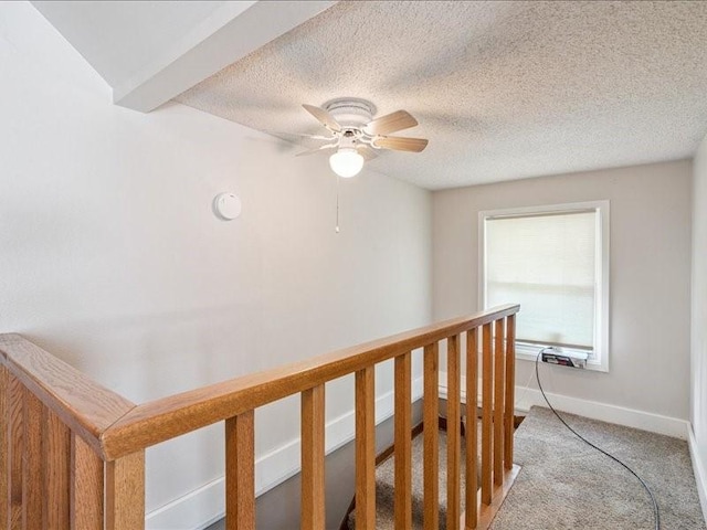 807 21st Ave SW, Cedar Rapids, IA 52404 - photo 13