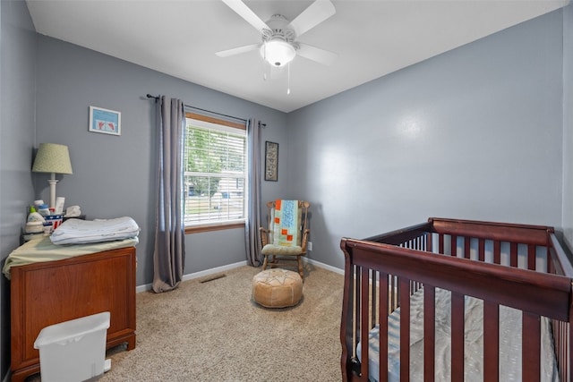 6810 Idlebrook Ln NE, Cedar Rapids, IA 52402 - photo 20