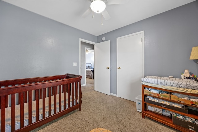 6810 Idlebrook Ln NE, Cedar Rapids, IA 52402 - photo 21
