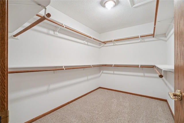 4113 Lark Ct NE, Cedar Rapids, IA 52402 - photo 22