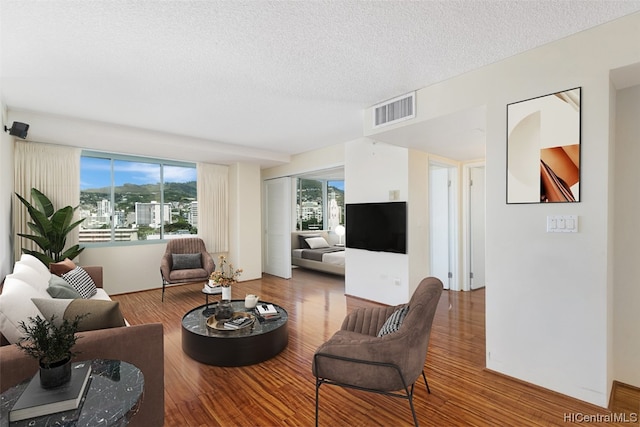 living room with a textured ceiling and wood-type flooring