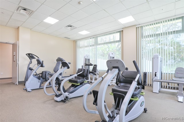 workout area with a paneled ceiling and light colored carpet