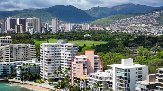 aerial view with a mountain view