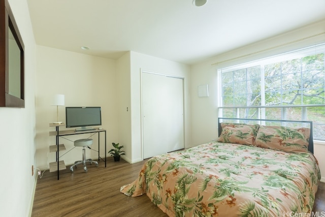 bedroom featuring dark hardwood / wood-style floors