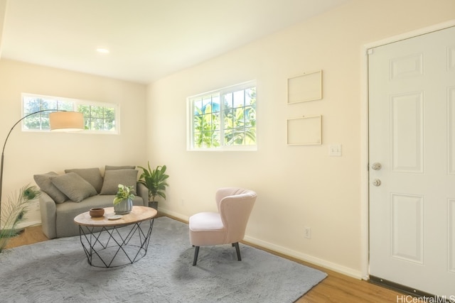 living area featuring plenty of natural light and hardwood / wood-style floors