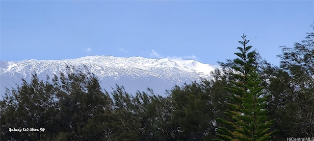 view of mountain feature