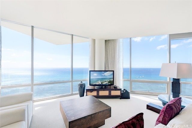 living room with a wall of windows, a healthy amount of sunlight, and carpet