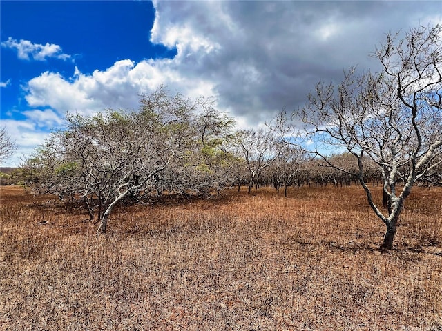 000 Kalua Koi Rd Lot 38, Maunaloa, HI 96770