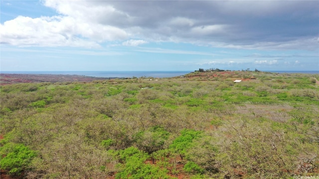 000 Kalua Koi Rd Lot 38, Maunaloa, HI 96770