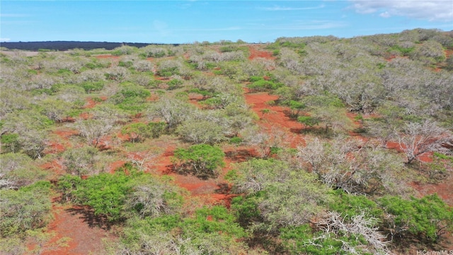 000 Kalua Koi Rd Lot 38, Maunaloa, HI 96770