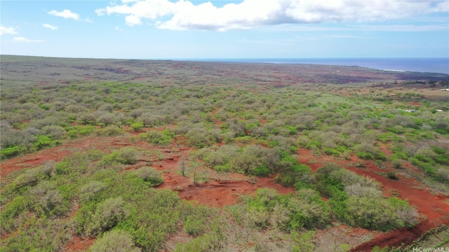 000 Kalua Koi Rd Lot 38, Maunaloa, HI 96770