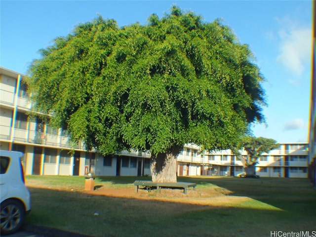 exterior space featuring a yard