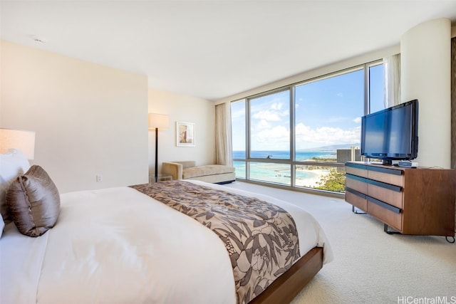 carpeted bedroom with floor to ceiling windows