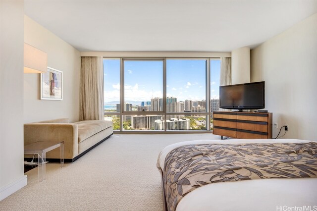 bedroom with multiple windows and carpet floors