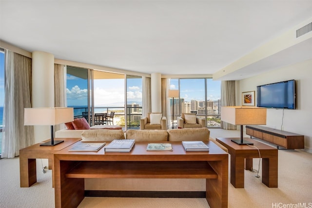 carpeted living room with expansive windows