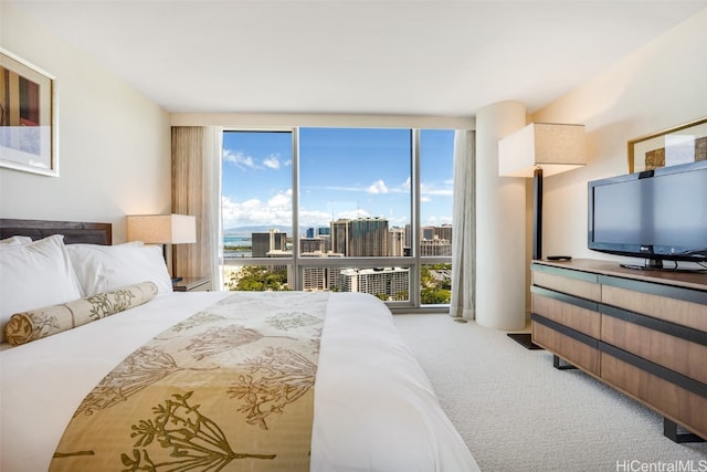 carpeted bedroom with floor to ceiling windows