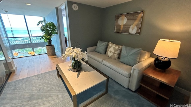 living room featuring hardwood / wood-style floors