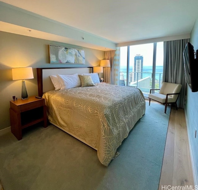 bedroom with hardwood / wood-style floors